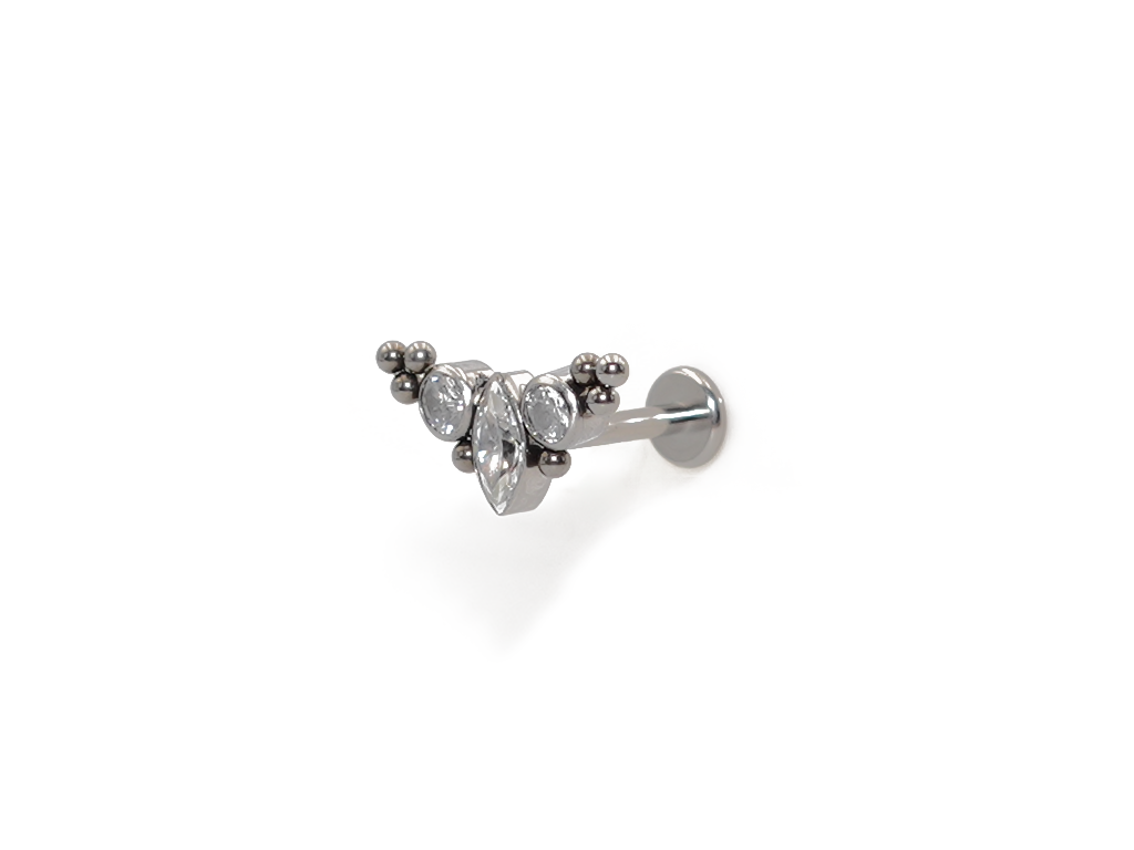 SHANA INTERNAL LABRET