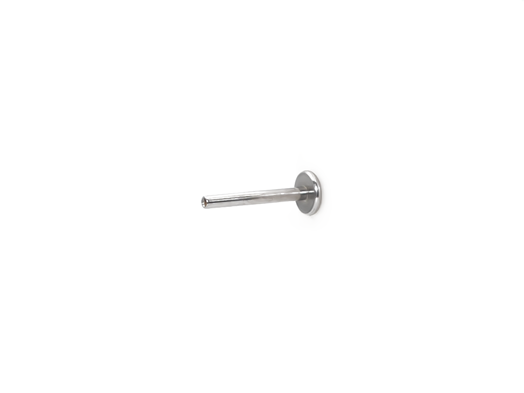 INTERNAL LABRET
