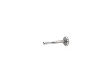 INTERNAL LABRET