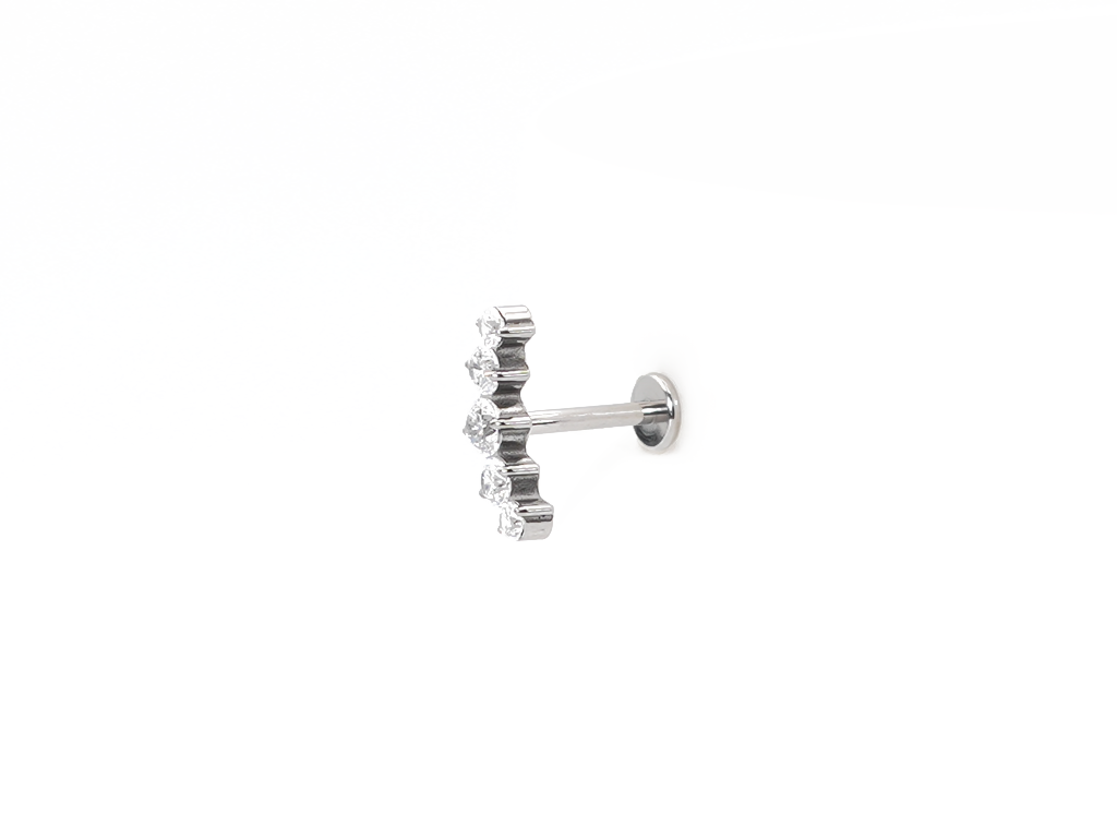 ZIYA INTERNAL LABRET